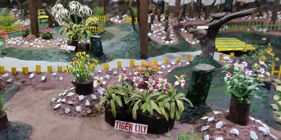 Photo of Thread Garden, North Lake Road, Kathadimattam, Ooty, Tamil Nadu, India by Amiyangshu Nath