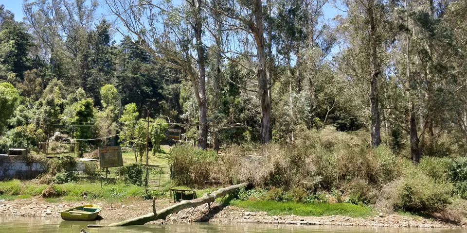 Photo of Ooty Boat House, Kathadimattam, Ooty, Tamil Nadu, India by Amiyangshu Nath