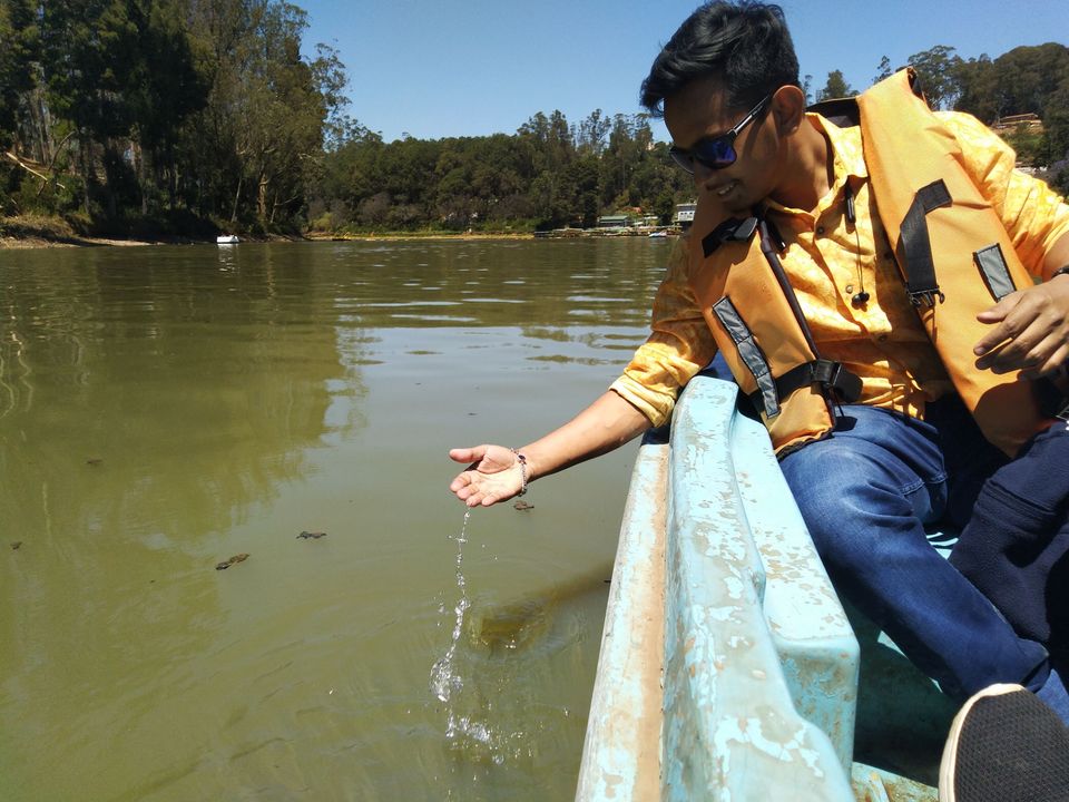 Photo of Ooty Boat House, Kathadimattam, Ooty, Tamil Nadu, India by Amiyangshu Nath