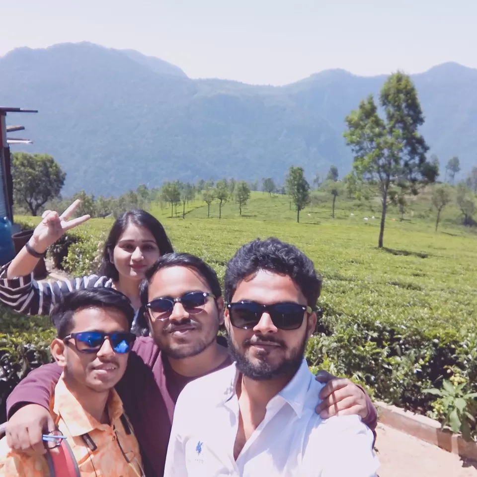 Photo of Singara Tea estate, Dolphin's Nose Road, Alwarpet, Burliyar, Tamil Nadu, India by Amiyangshu Nath