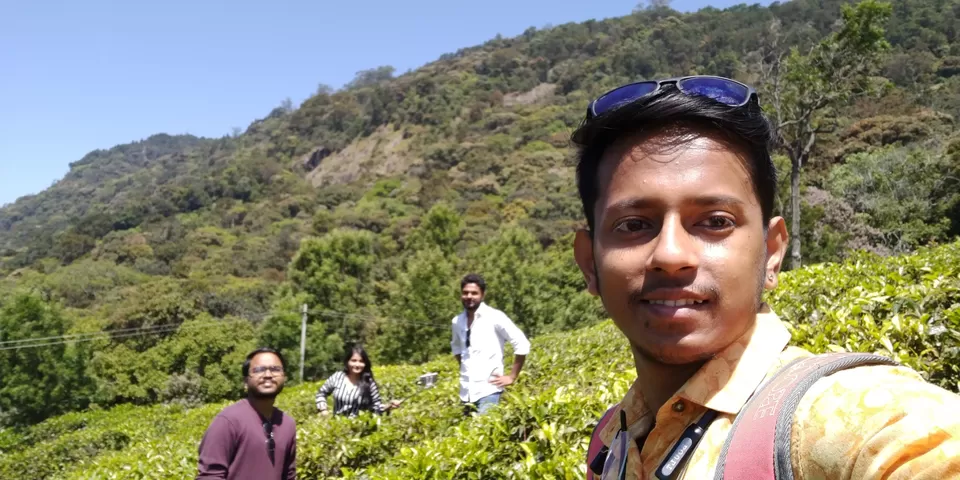 Photo of Singara Tea estate, Dolphin's Nose Road, Alwarpet, Burliyar, Tamil Nadu, India by Amiyangshu Nath