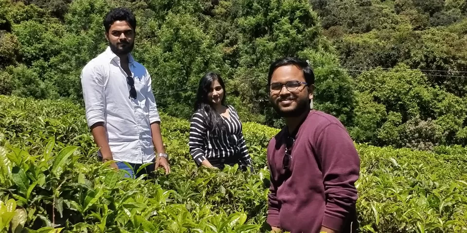 Photo of Singara Tea estate, Dolphin's Nose Road, Alwarpet, Burliyar, Tamil Nadu, India by Amiyangshu Nath