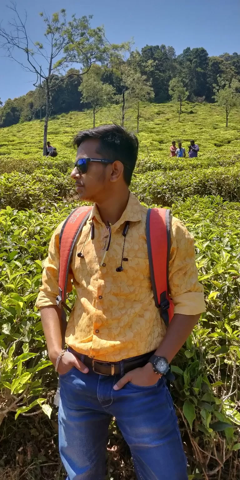Photo of Singara Tea estate, Dolphin's Nose Road, Alwarpet, Burliyar, Tamil Nadu, India by Amiyangshu Nath