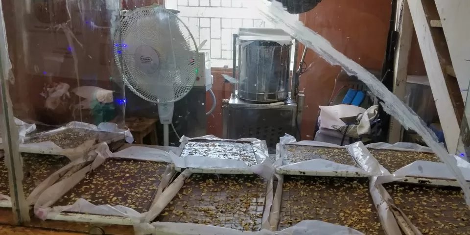 Photo of Chocolate factory, Nagapattinam - Coimbatore - Gundlupet Highway, Anna Nagar, Ooty, Tamil Nadu, India by Amiyangshu Nath
