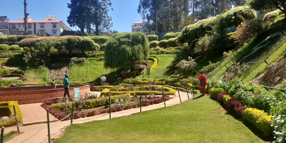 Photo of Government Rose Garden, Horticulture House, Elk Hill Road, Bombay Castel, Ooty, Tamil Nadu, India by Amiyangshu Nath