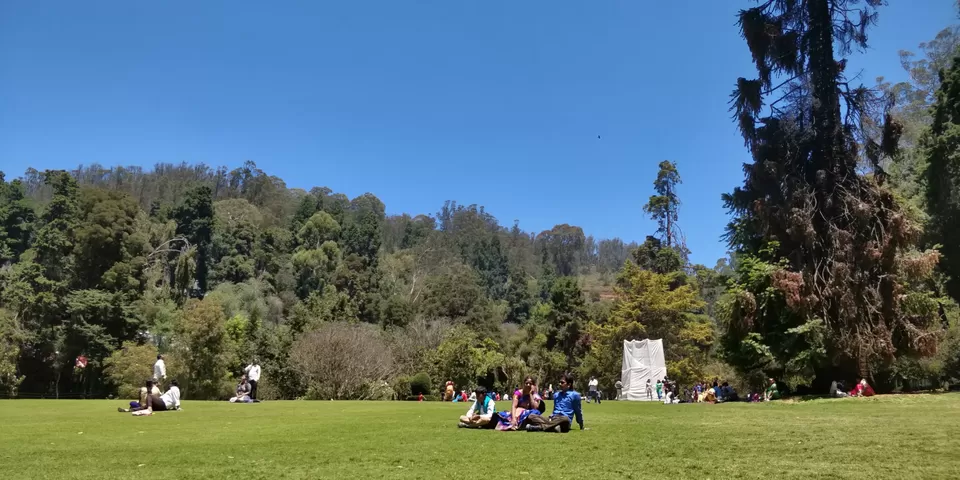 Photo of Government Botanical Garden ,Ootacamund, Kathadimattam, Ooty, Tamil Nadu, India by Amiyangshu Nath