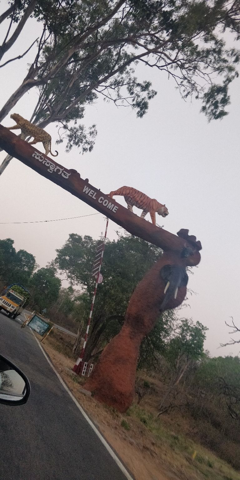 Photo of Mudumalai National Park, India by Amiyangshu Nath