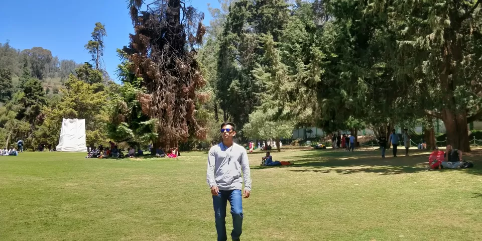 Photo of Government Botanical Garden ,Ootacamund, Kathadimattam, Ooty, Tamil Nadu, India by Amiyangshu Nath