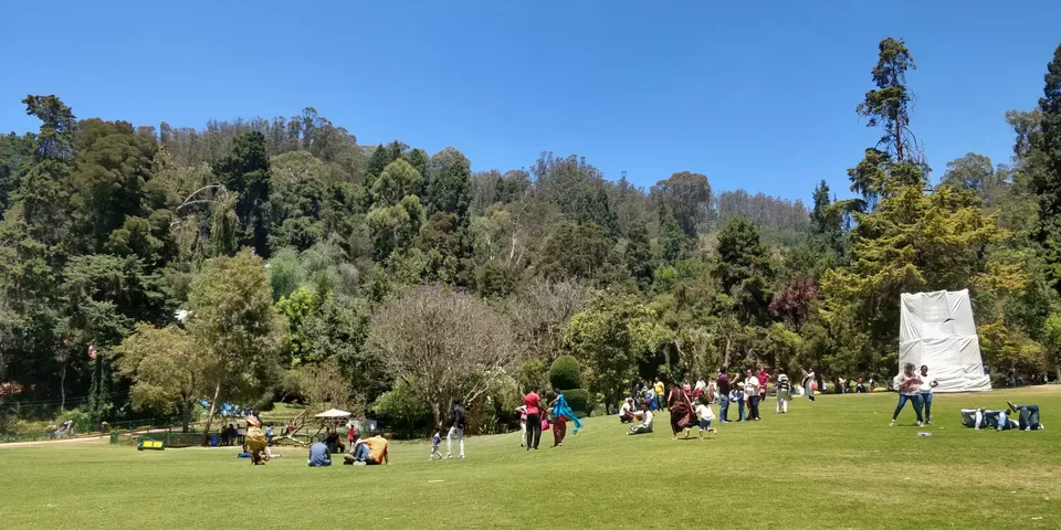 Photo of Government Botanical Garden ,Ootacamund, Kathadimattam, Ooty, Tamil Nadu, India by Amiyangshu Nath