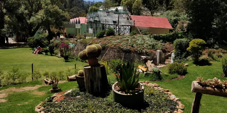 Photo of Government Botanical Garden ,Ootacamund, Kathadimattam, Ooty, Tamil Nadu, India by Amiyangshu Nath