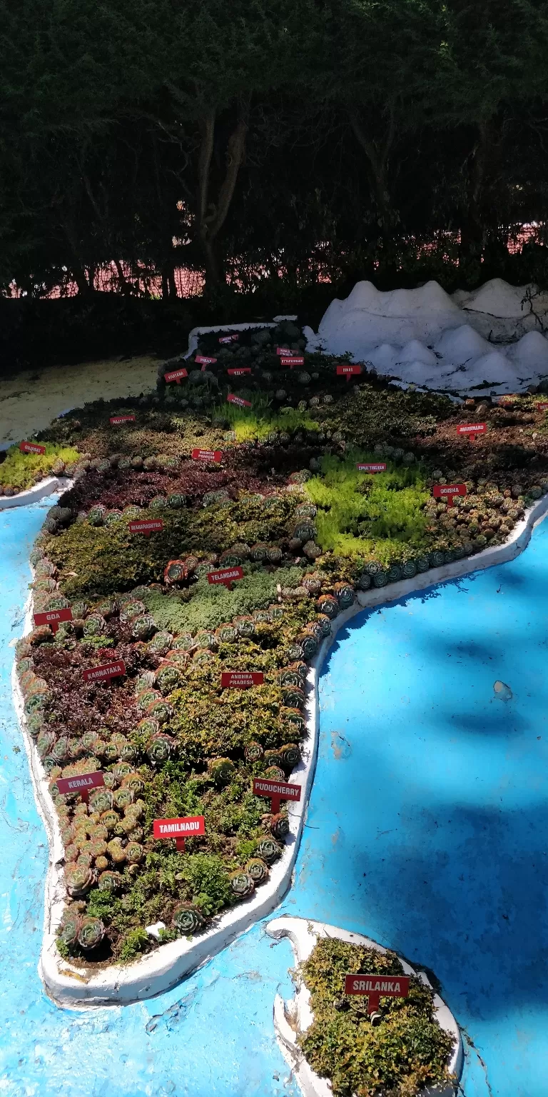 Photo of Government Botanical Garden ,Ootacamund, Kathadimattam, Ooty, Tamil Nadu, India by Amiyangshu Nath