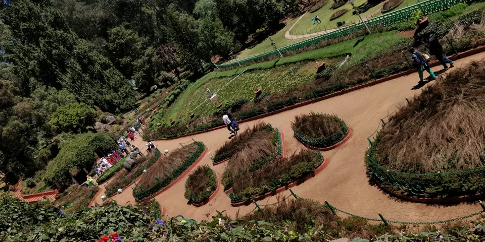 Photo of Government Botanical Garden ,Ootacamund, Kathadimattam, Ooty, Tamil Nadu, India by Amiyangshu Nath