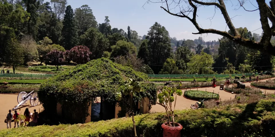 Photo of Government Botanical Garden ,Ootacamund, Kathadimattam, Ooty, Tamil Nadu, India by Amiyangshu Nath