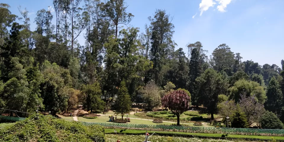 Photo of Government Botanical Garden ,Ootacamund, Kathadimattam, Ooty, Tamil Nadu, India by Amiyangshu Nath
