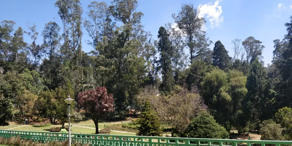 Photo of Government Botanical Garden ,Ootacamund, Kathadimattam, Ooty, Tamil Nadu, India by Amiyangshu Nath