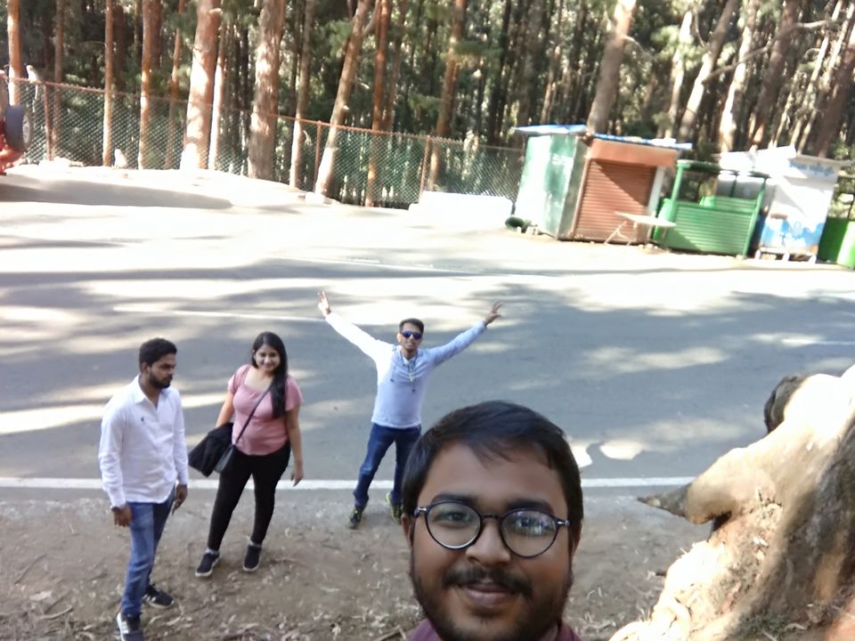Photo of Pine Forest Shooting Spot, Ooty Main, Tamil Nadu, India by Amiyangshu Nath