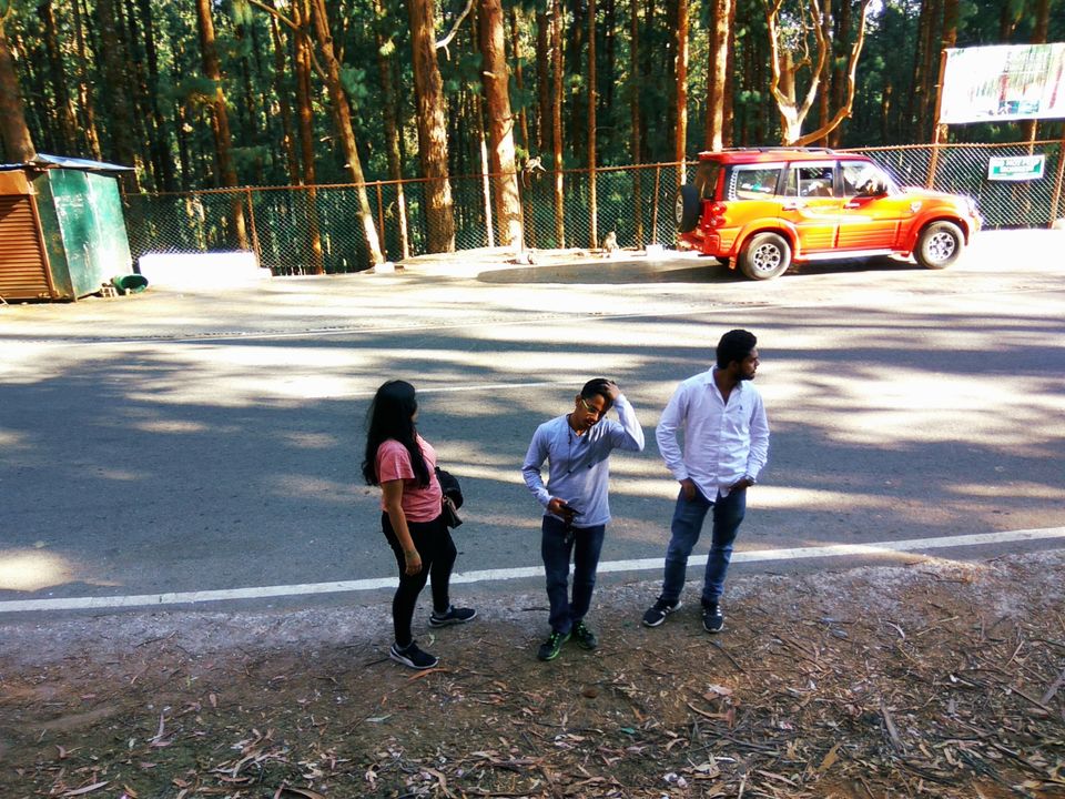 Photo of Pine Forest Shooting Spot, Ooty Main, Tamil Nadu, India by Amiyangshu Nath