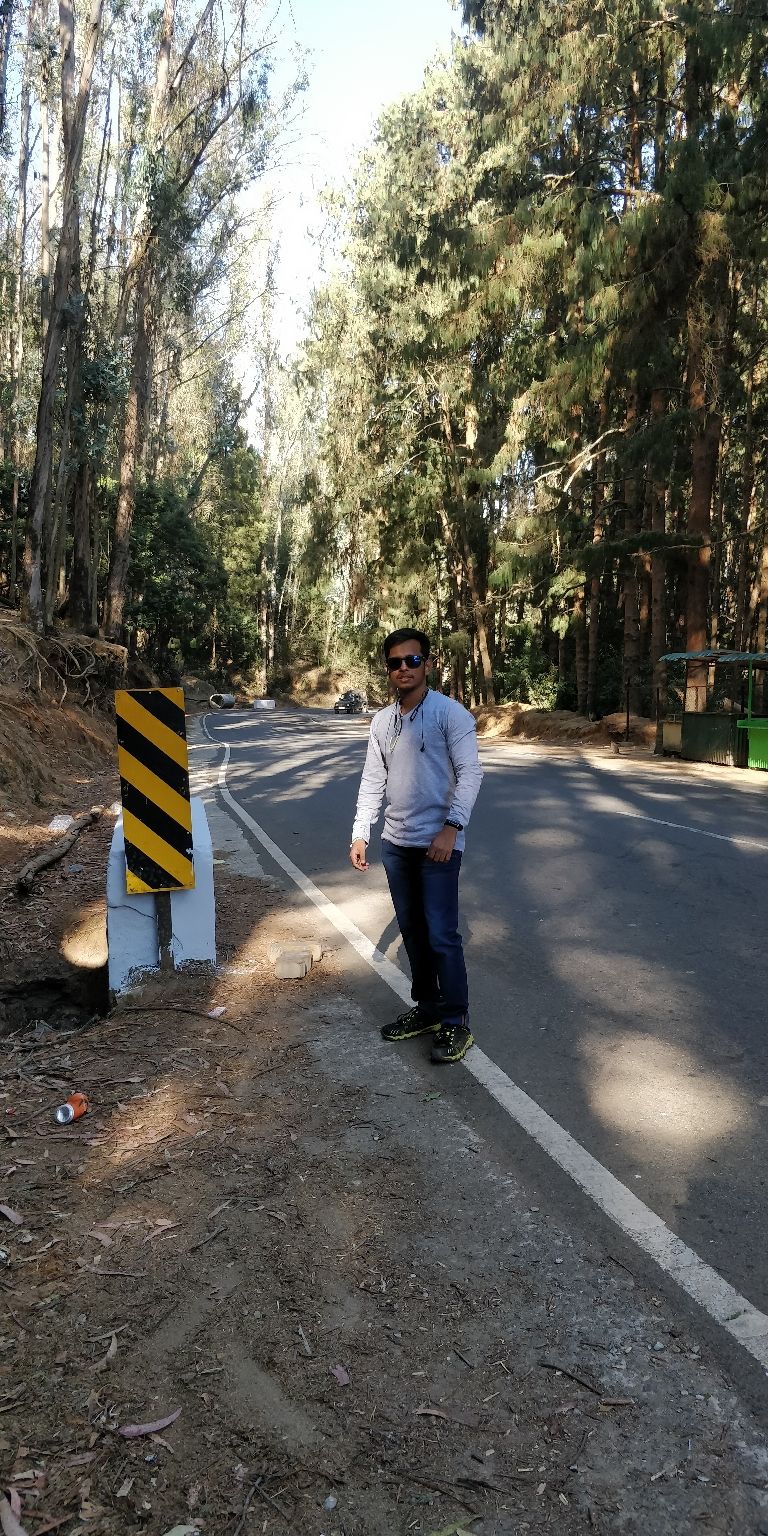 Photo of Pine Forest Shooting Spot, Ooty Main, Tamil Nadu, India by Amiyangshu Nath