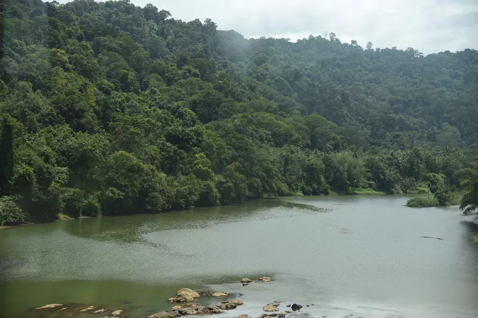 Photo of Mesmerizing Munnar #notinnorth by Siva Sudhir