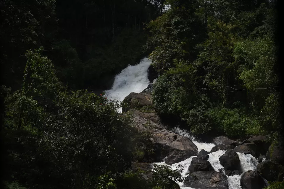 Photo of Mesmerizing Munnar #notinnorth by Siva Sudhir