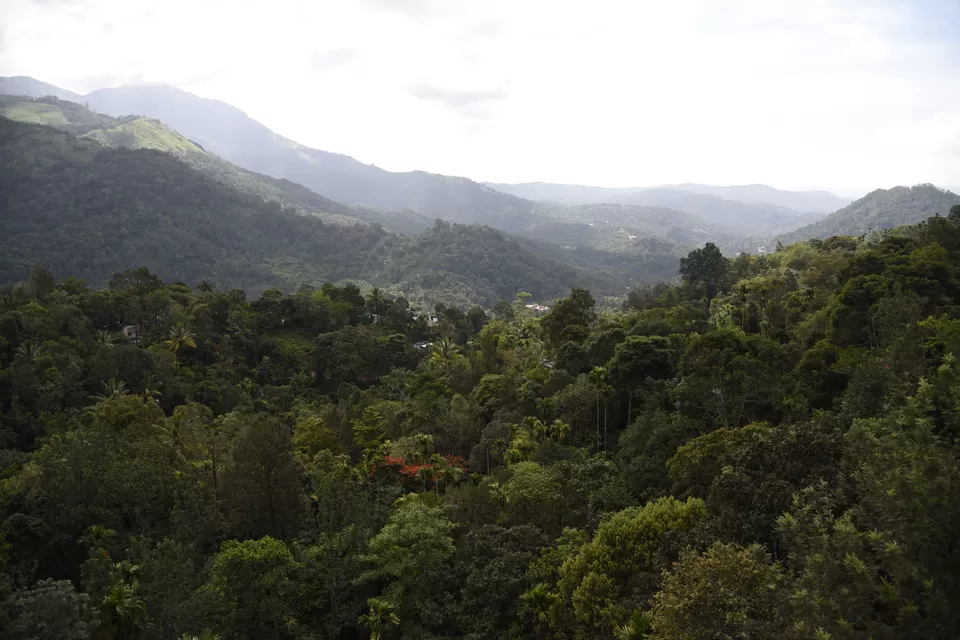 Photo of Mesmerizing Munnar #notinnorth by Siva Sudhir