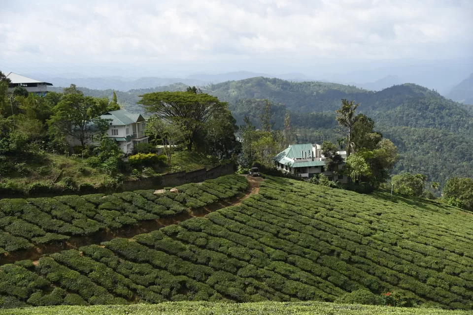 Photo of Mesmerizing Munnar #notinnorth by Siva Sudhir