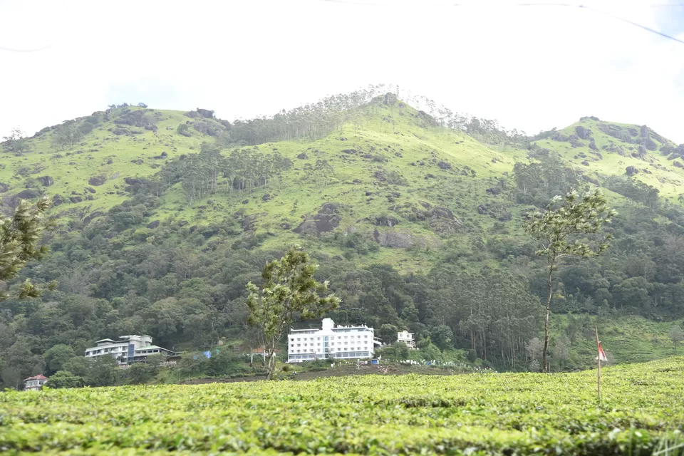 Photo of Mesmerizing Munnar #notinnorth by Siva Sudhir