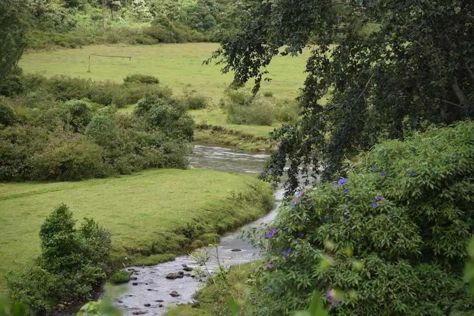 Photo of Mesmerizing Munnar #notinnorth by Siva Sudhir