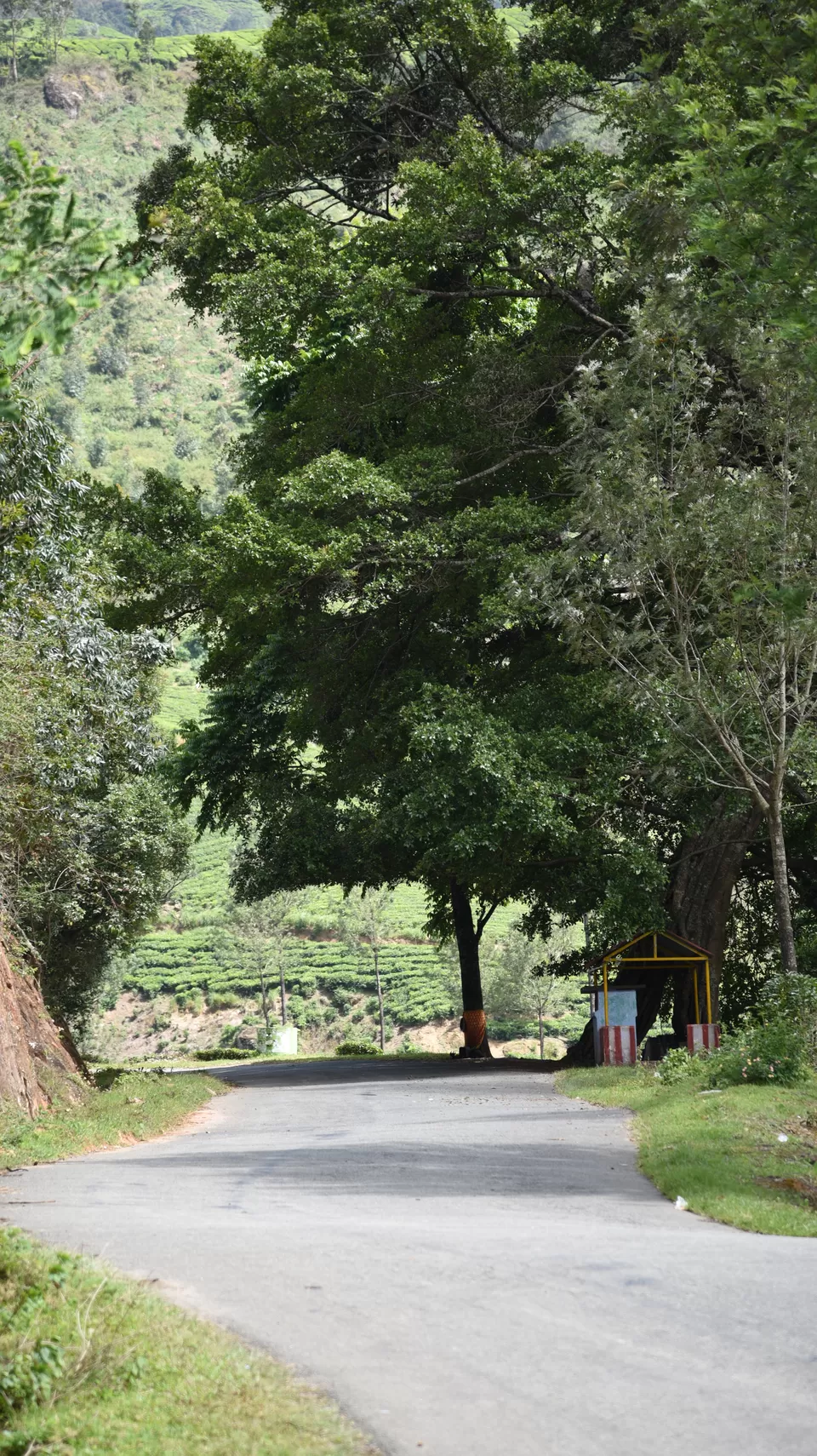 Photo of Mesmerizing Munnar #notinnorth by Siva Sudhir