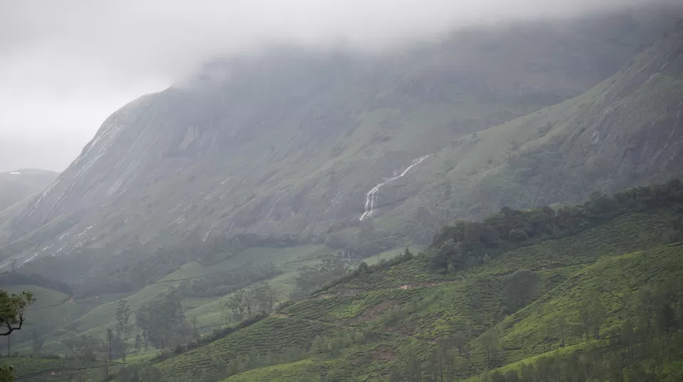 Photo of Mesmerizing Munnar #notinnorth by Siva Sudhir