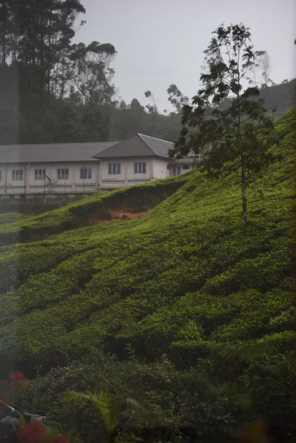 Photo of Mesmerizing Munnar #notinnorth by Siva Sudhir