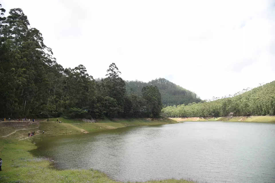 Photo of Mesmerizing Munnar #notinnorth by Siva Sudhir
