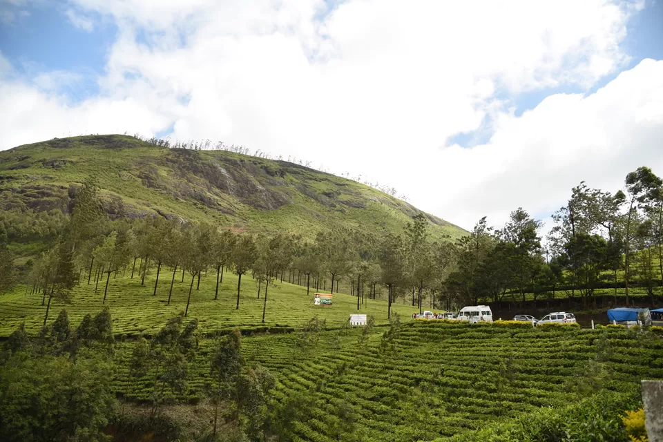Photo of Mesmerizing Munnar #notinnorth by Siva Sudhir