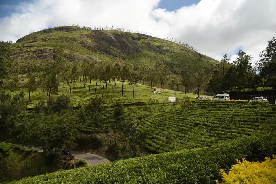 Photo of Mesmerizing Munnar #notinnorth by Siva Sudhir