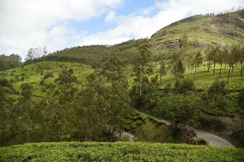 Photo of Mesmerizing Munnar #notinnorth by Siva Sudhir