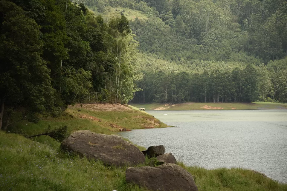 Photo of Mesmerizing Munnar #notinnorth by Siva Sudhir