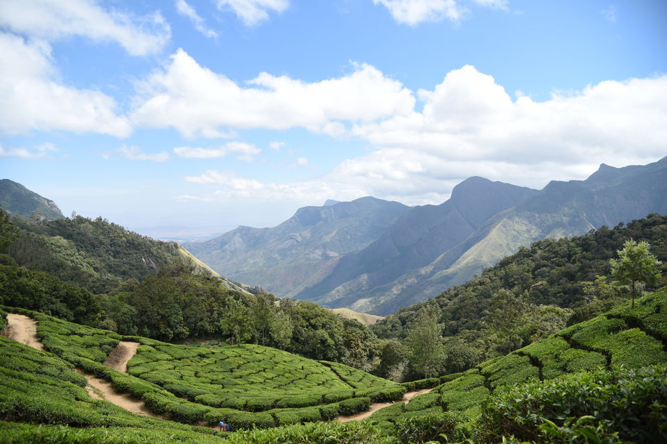 Photo of Mesmerizing Munnar #notinnorth by Siva Sudhir
