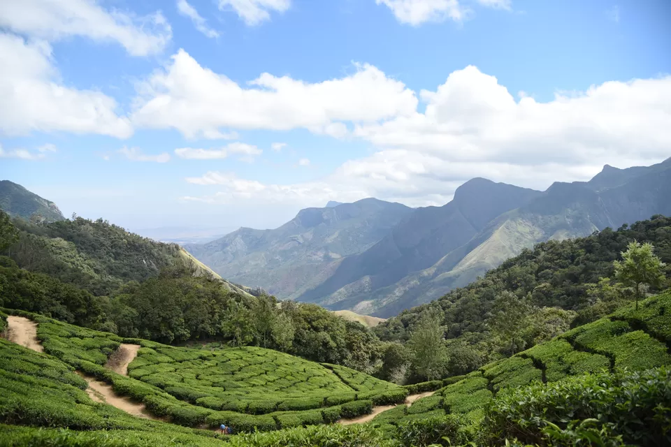 Photo of Mesmerizing Munnar #notinnorth by Siva Sudhir