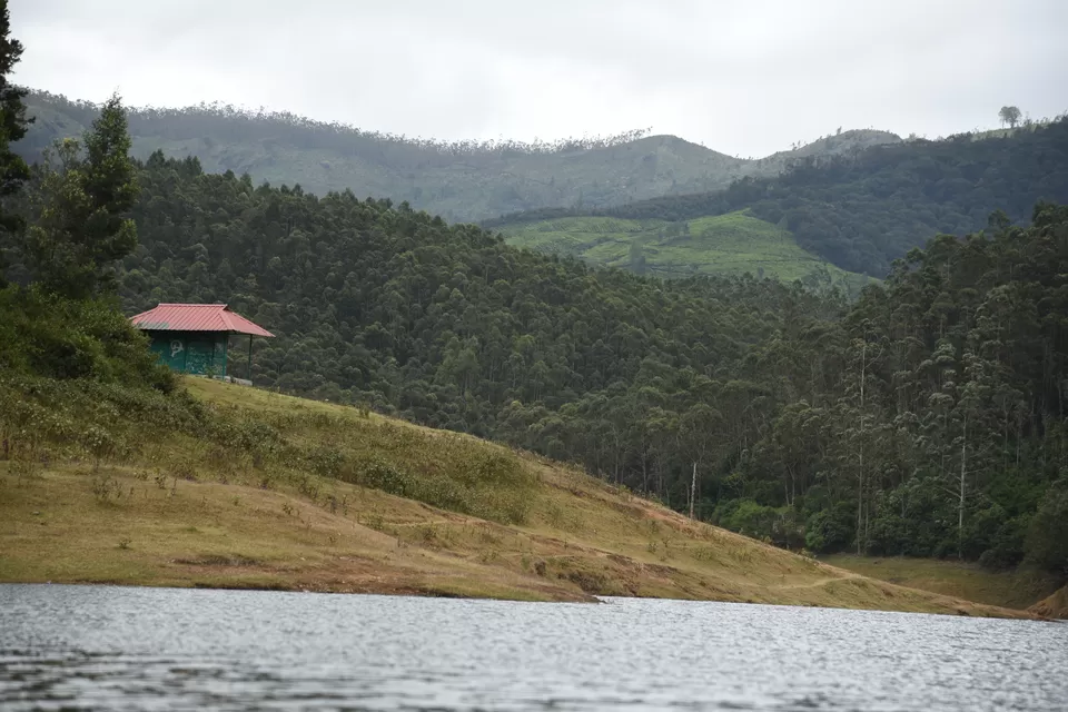 Photo of Mesmerizing Munnar #notinnorth by Siva Sudhir