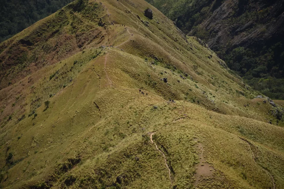 Photo of Mesmerizing Munnar #notinnorth by Siva Sudhir