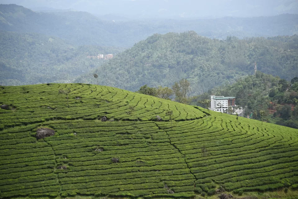 Photo of Mesmerizing Munnar #notinnorth by Siva Sudhir