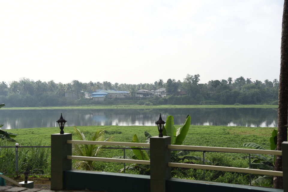 Photo of Mesmerizing Munnar #notinnorth 4/6 by Siva Sudhir