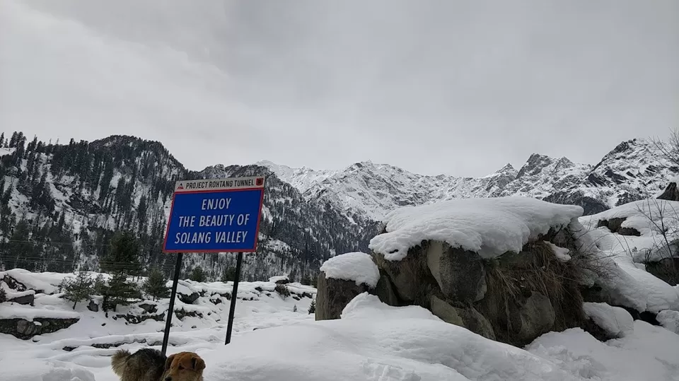 Photo of Solang Valley, Burwa, Himachal Pradesh, India by Ramesh Choudhary