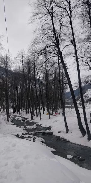 Photo of Solang Valley, Burwa, Himachal Pradesh, India by Ramesh Choudhary