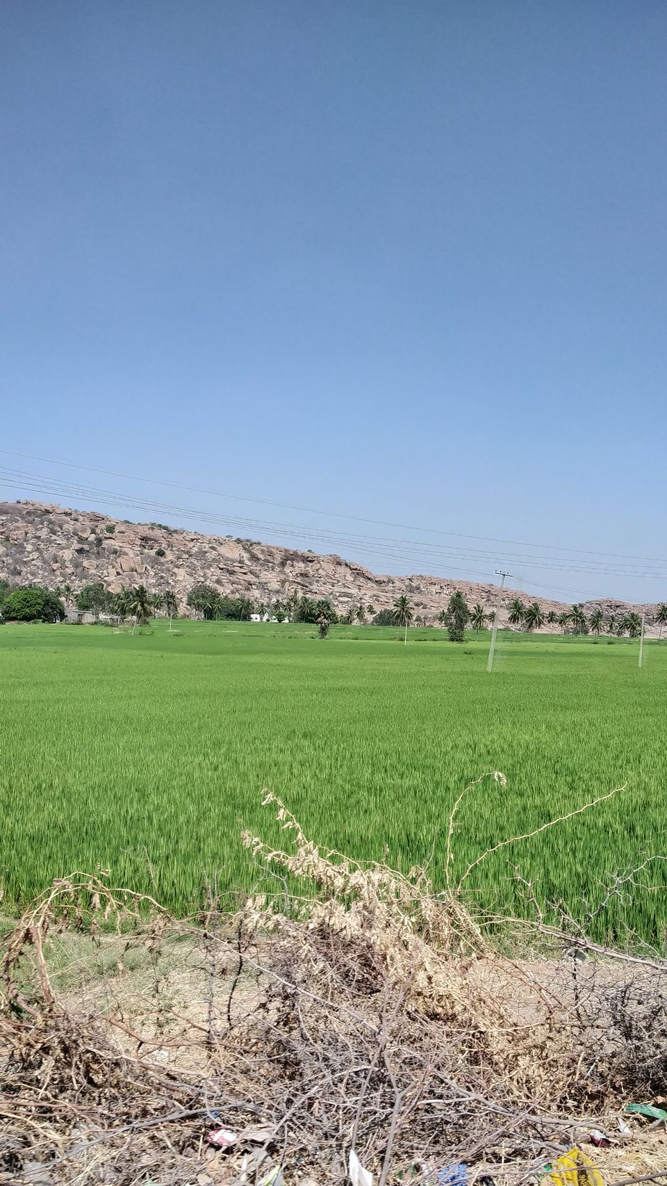 Photo of Trip to Hampi 6/15 by Rugved Gavandi