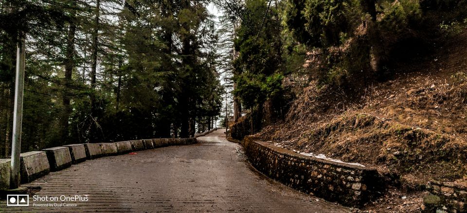 Photo of Rainy Day at Char Dukan,Mussoorie by Mountain Balak
