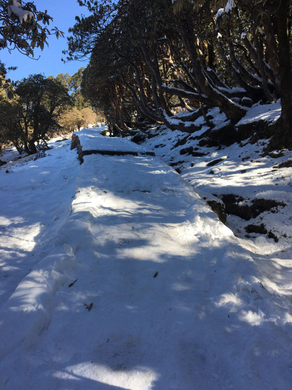 Photo of The Best Winter Trek For Beginners Tungnath Chandrashila Trek 5/10 by Mountain Balak