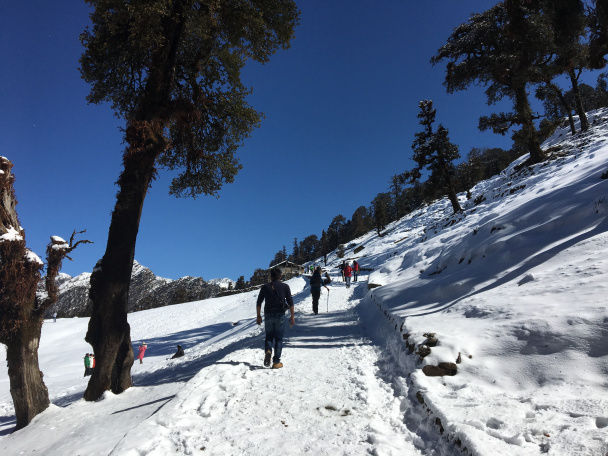 Photo of The Best Winter Trek For Beginners Tungnath Chandrashila Trek 7/10 by Mountain Balak