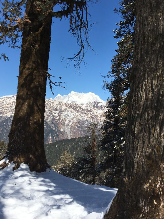 Photo of The Best Winter Trek For Beginners Tungnath Chandrashila Trek 8/10 by Mountain Balak