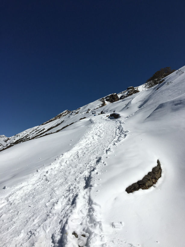 Photo of The Best Winter Trek For Beginners Tungnath Chandrashila Trek 10/10 by Mountain Balak